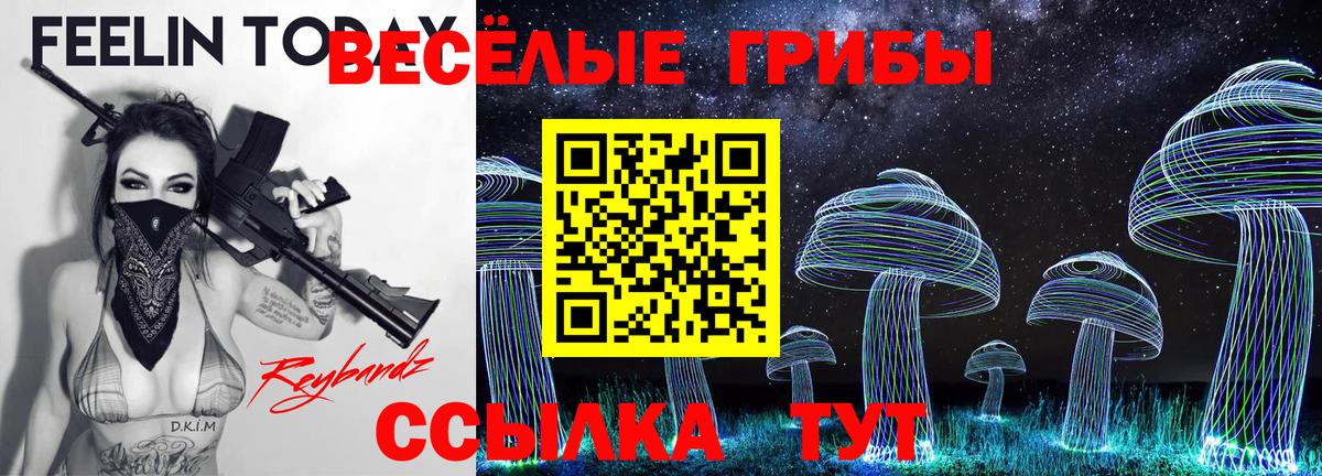 Галлюциногенные грибы прущие грибы Уварово